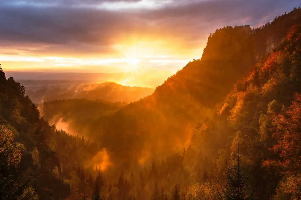 Beautiful Sunrise